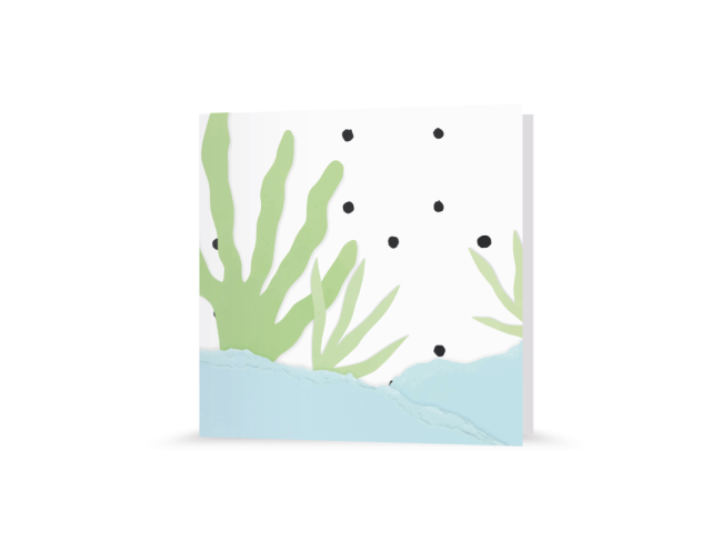 Grußkarte - Wasserpflanze