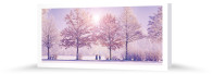 Winterspaziergang