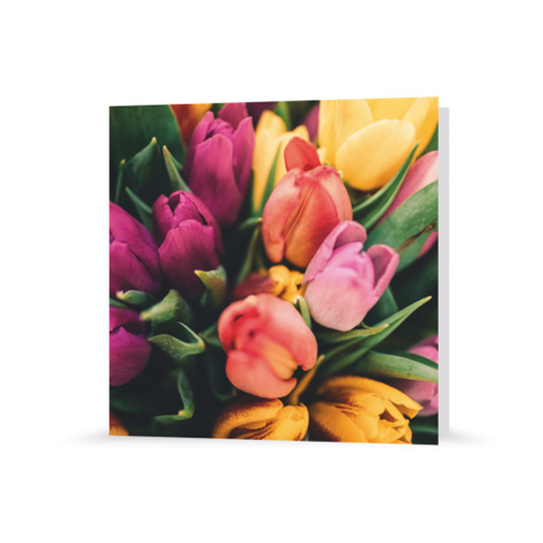 Grußkarte | Tulpenzauber