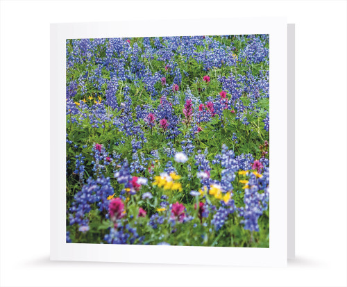 Grußkarte - Blumenwiese