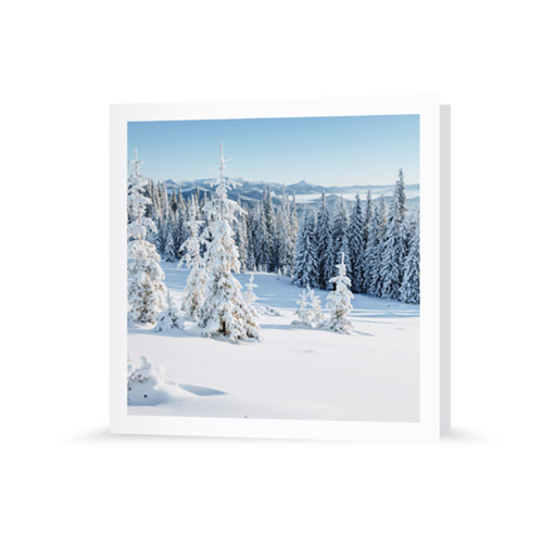 Winterlandschaft