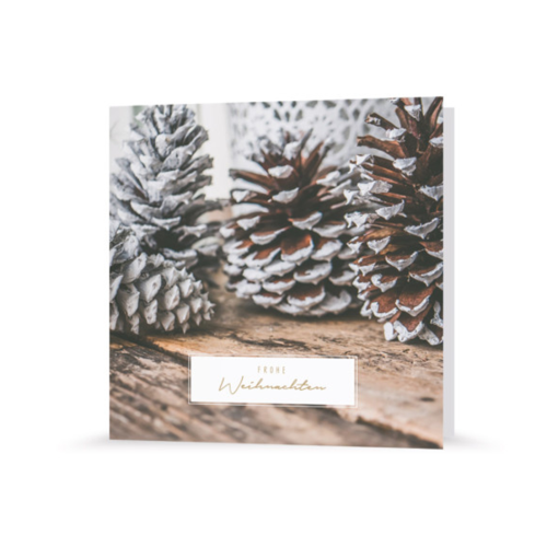 Weihnachtskarte | Tannenzapfen