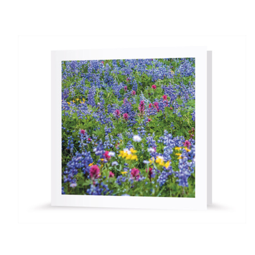 Grußkarte | Blumenwiese