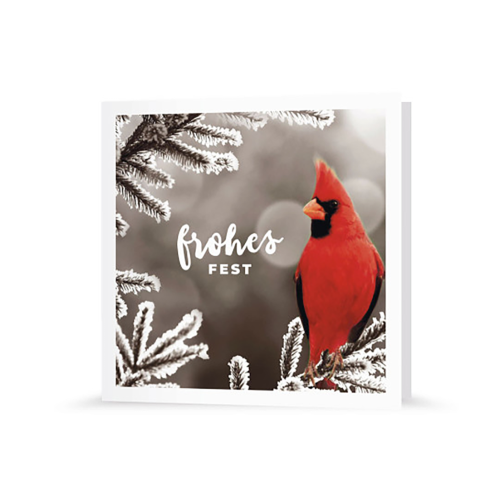 Frohes Fest