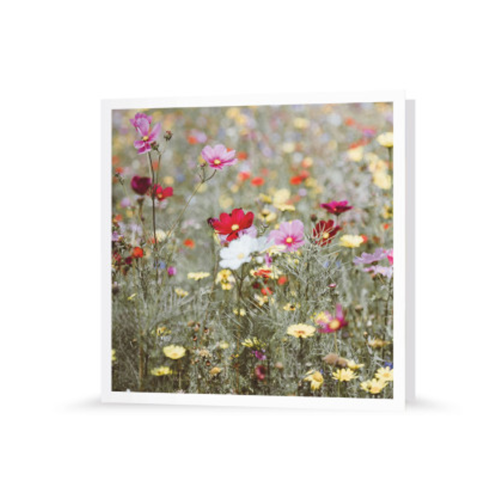 Grußkarte | Frühlingswiese