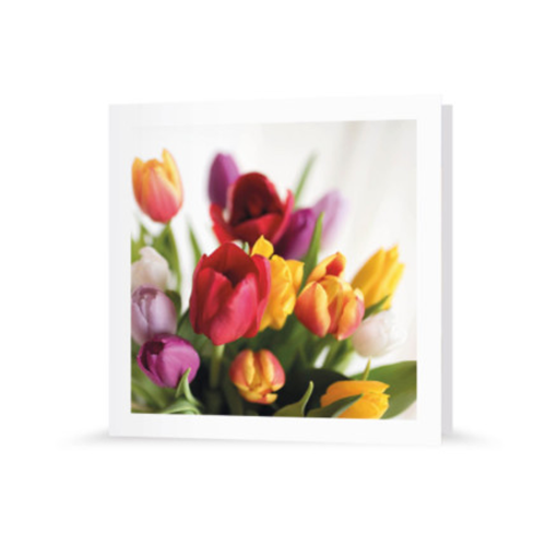 Grußkarte | Tulpenpracht