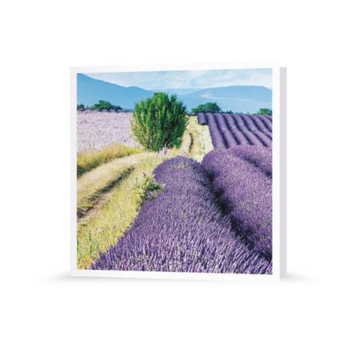 Grußkarte | Lavendel