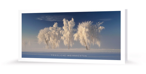 Winterwonderland